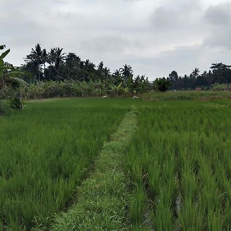 Villa Tenang Ubud  Luaran gambar