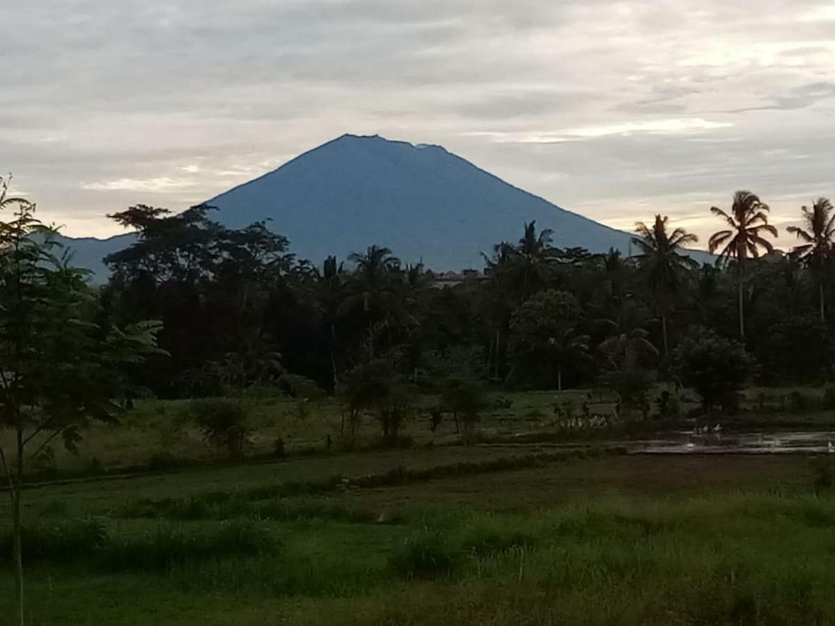 Villa Tenang Ubud  Luaran gambar