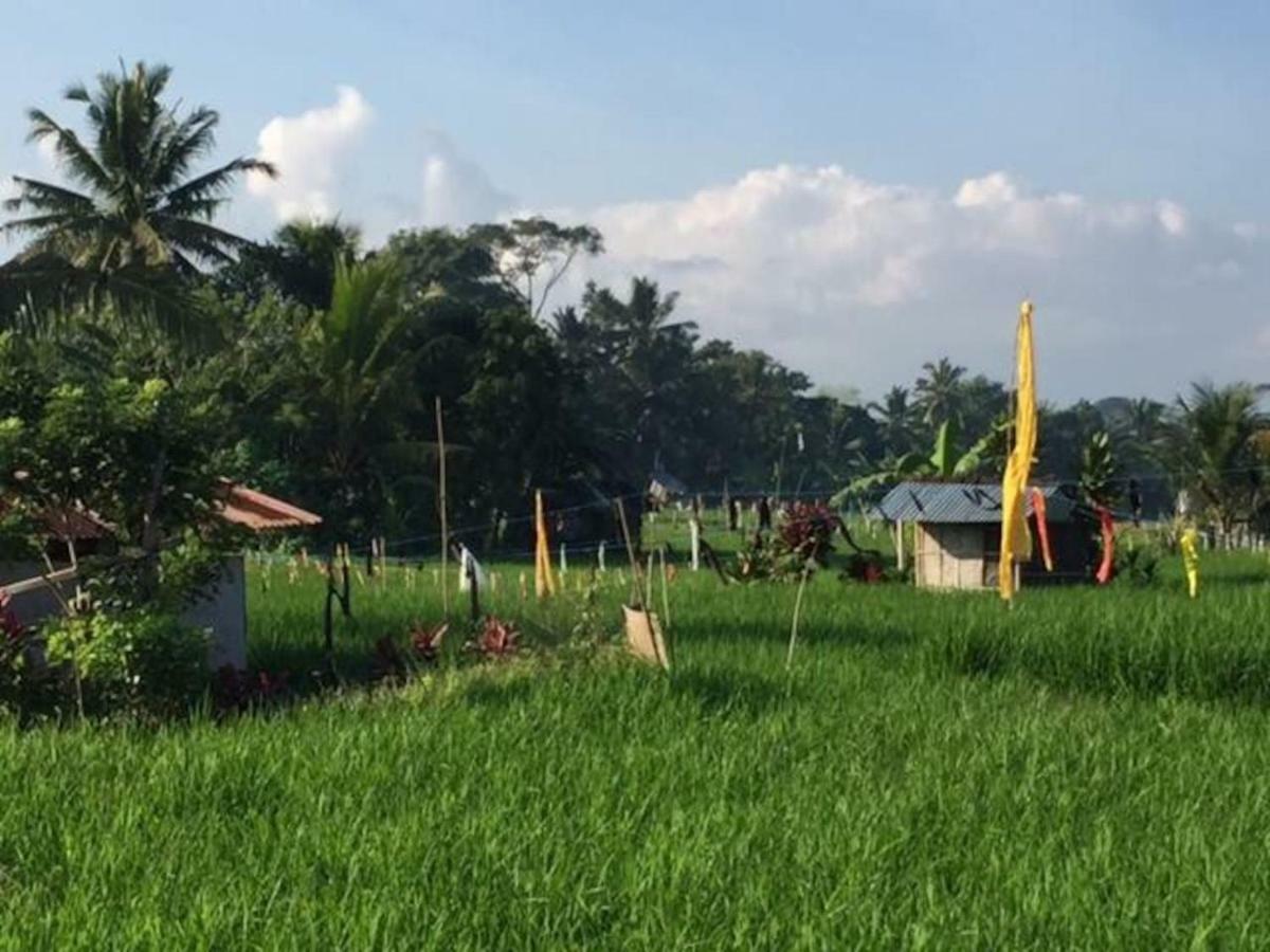 Villa Tenang Ubud  Luaran gambar